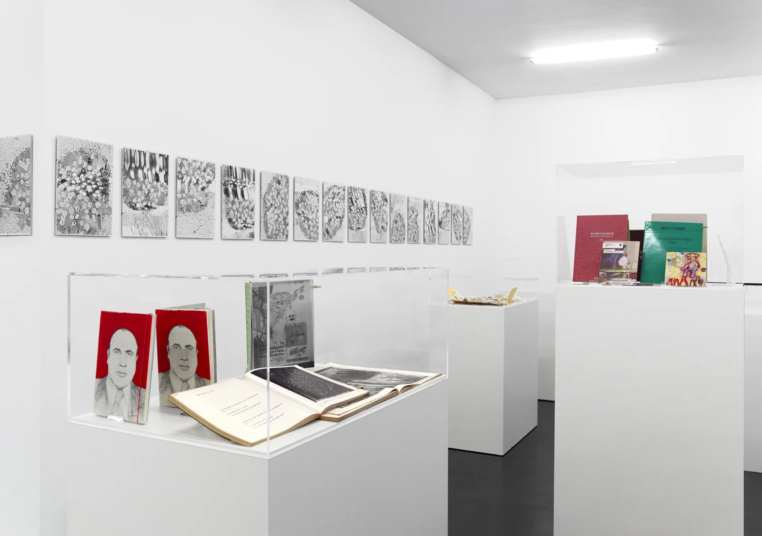 SmtlichePublikationen — Sigmar Polke — Exhibitions — Galerie Buchholz — Image 20