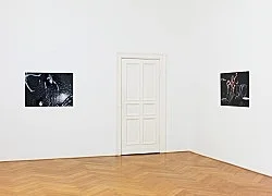 No Tears in Rain — Stewart Uoo — Exhibitions — Galerie Buchholz — Image 65