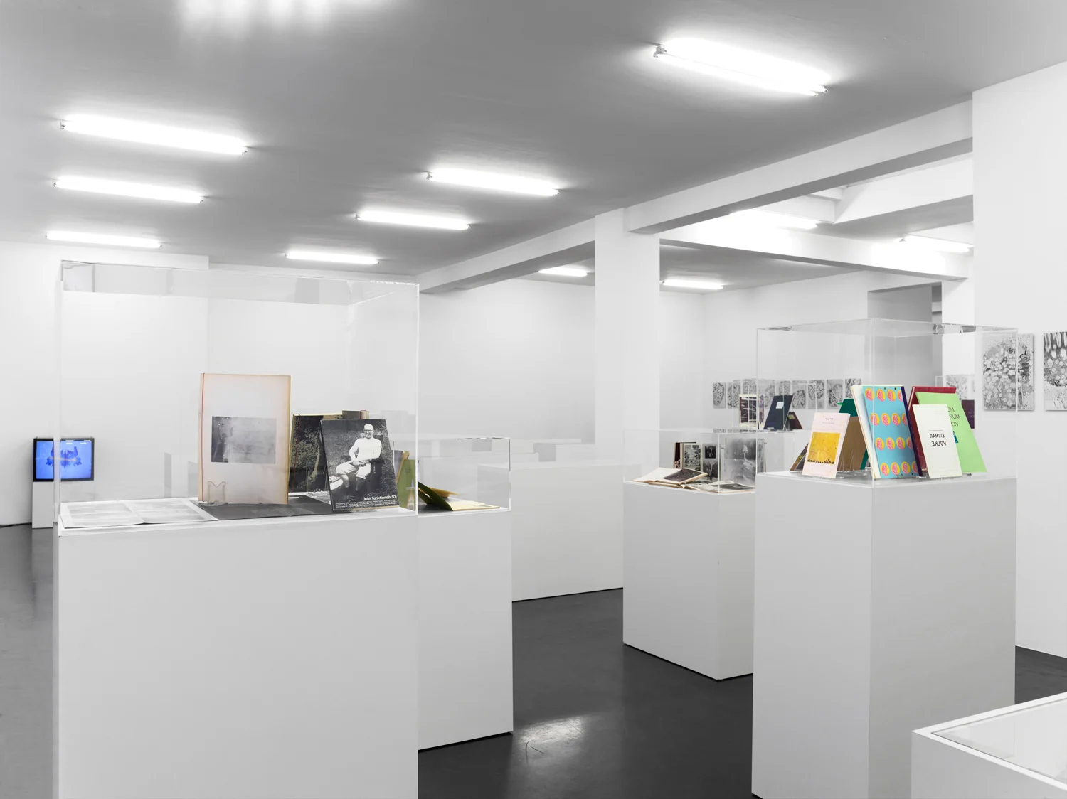 SmtlichePublikationen — Sigmar Polke — Exhibitions — Galerie Buchholz — Image 06