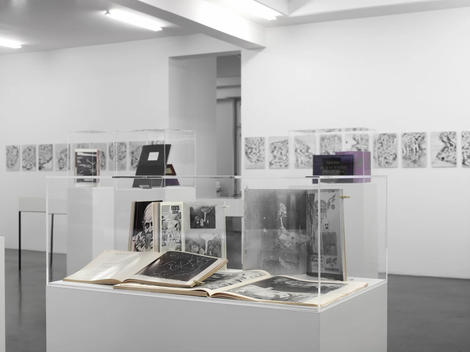SmtlichePublikationen — Sigmar Polke — Exhibitions — Galerie Buchholz — Image 12