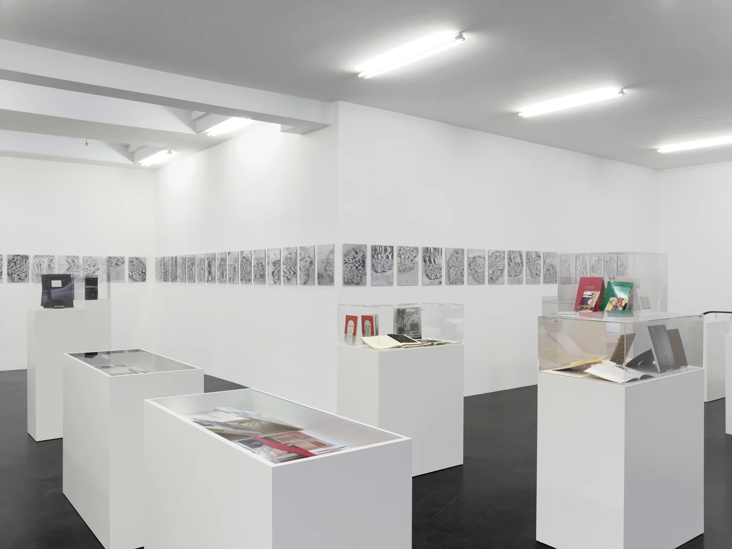 SmtlichePublikationen — Sigmar Polke — Exhibitions — Galerie Buchholz — Image 13