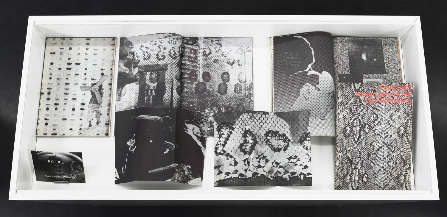 SmtlichePublikationen — Sigmar Polke — Exhibitions — Galerie Buchholz — Image 17