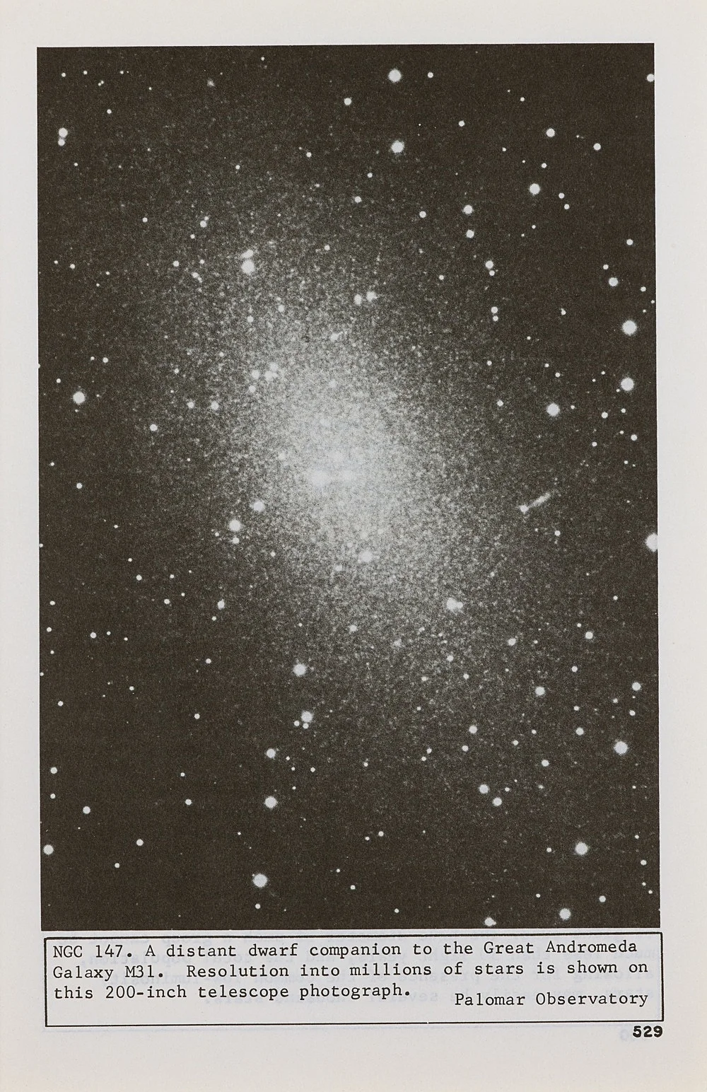 SexwithStrangers1986 — Lutz Bacher — Exhibitions — Galerie Buchholz — Image 23