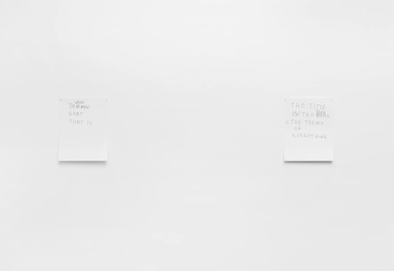 Homer — Lutz Bacher — Exhibitions — Galerie Buchholz — Image 06