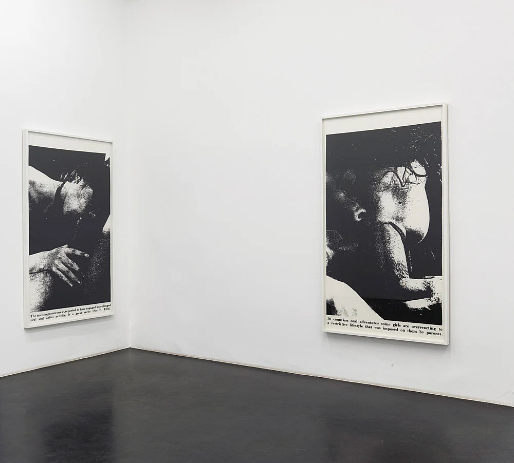 SexwithStrangers1986 — Lutz Bacher — Exhibitions — Galerie Buchholz — Image 00
