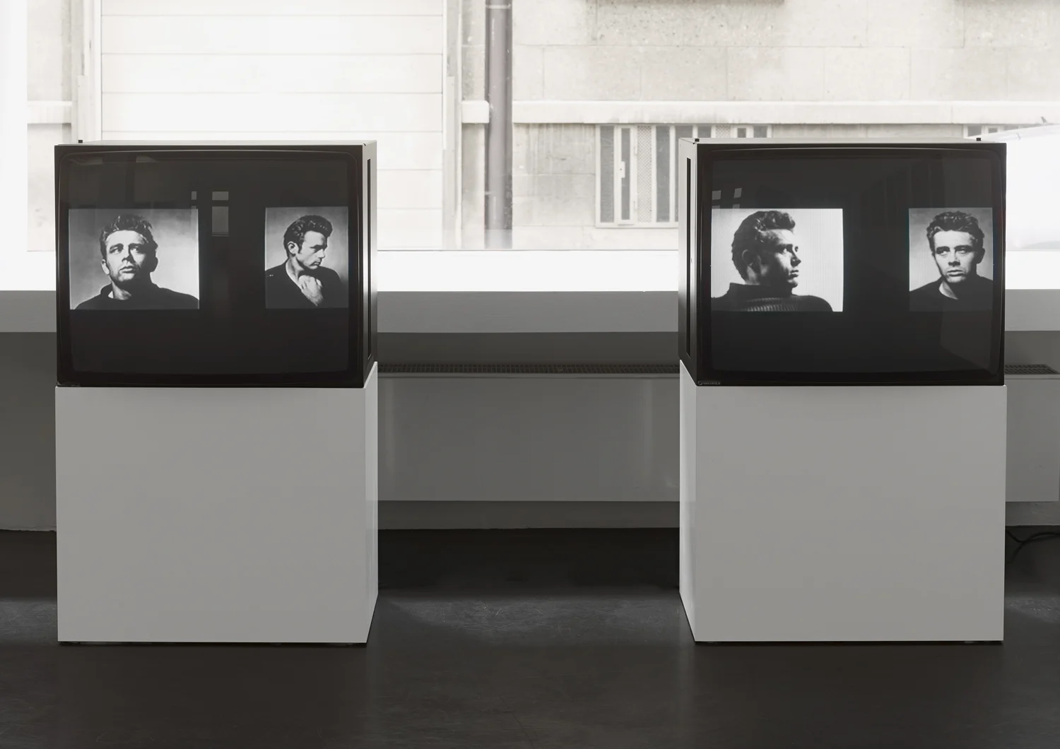 Lutz Bacher Elisen 2014 — Lutz Bacher — Exhibitions — Galerie Buchholz — Image 07