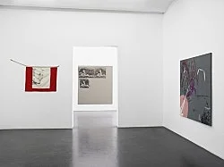 We not — Cosima von Bonin Sergej Jensen Michael Krebber — Exhibitions — Galerie Buchholz — Image 42