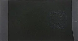 We not — Cosima von Bonin Sergej Jensen Michael Krebber — Exhibitions — Galerie Buchholz — Image 57