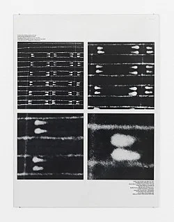 Pictures, Before and After An Exhibition for Douglas Crimp — Daniel Buren, Charles James, Antonio Lopez, Agnes Martin, Joseph Cornell, Robert Smithson, The Cockettes, Jack Smith,... — Exhibitions — Galerie Buchholz — Image 115