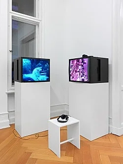 Pictures, Before and After An Exhibition for Douglas Crimp — Daniel Buren, Charles James, Antonio Lopez, Agnes Martin, Joseph Cornell, Robert Smithson, The Cockettes, Jack Smith,... — Exhibitions — Galerie Buchholz — Image 120