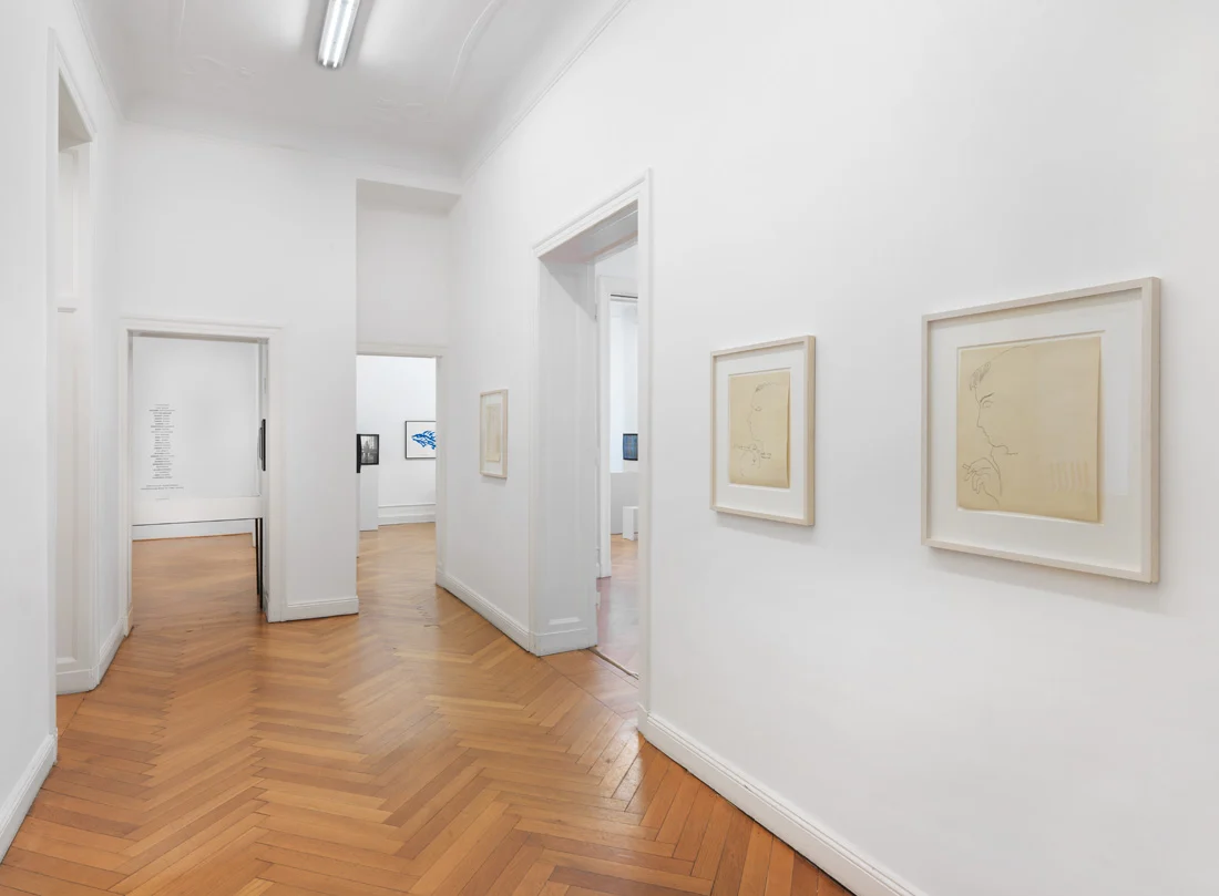 Pictures, Before and After An Exhibition for Douglas Crimp — Daniel Buren, Charles James, Antonio Lopez, Agnes Martin, Joseph Cornell, Robert Smithson, The Cockettes, Jack Smith,... — Exhibitions — Galerie Buchholz — Image 04