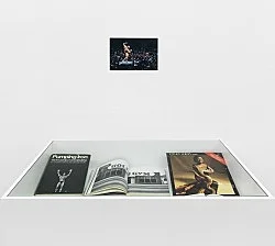 Pictures, Before and After An Exhibition for Douglas Crimp — Daniel Buren, Charles James, Antonio Lopez, Agnes Martin, Joseph Cornell, Robert Smithson, The Cockettes, Jack Smith,... — Exhibitions — Galerie Buchholz — Image 161