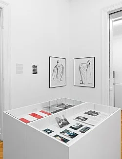 Pictures, Before and After An Exhibition for Douglas Crimp — Daniel Buren, Charles James, Antonio Lopez, Agnes Martin, Joseph Cornell, Robert Smithson, The Cockettes, Jack Smith,... — Exhibitions — Galerie Buchholz — Image 104