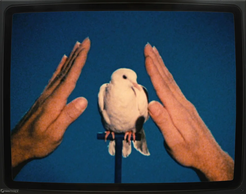 Pictures, Before and After An Exhibition for Douglas Crimp — Daniel Buren, Charles James, Antonio Lopez, Agnes Martin, Joseph Cornell, Robert Smithson, The Cockettes, Jack Smith,... — Exhibitions — Galerie Buchholz — Image 64