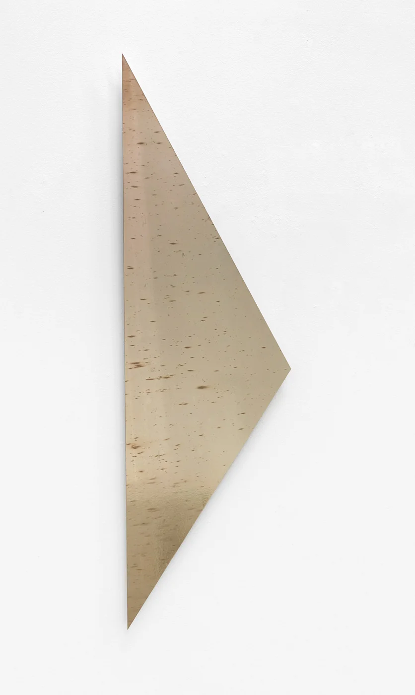 8220MareMount8221withatextbyEdHalter — Carl AndreLiz DeschenesRichard PrinceR H Quaytman — Exhibitions — Galerie Buchholz — Image 26