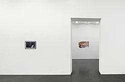 The Dross of It All The Loss of It All — Loretta Fahrenholz — Exhibitions — Galerie Buchholz — Image 52
