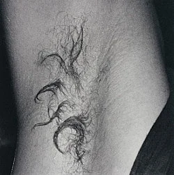 Wolfgang Tillmans - Buchholz Buchholz 1993 — Wolfgang Tillmans — Exhibitions — Galerie Buchholz — Image 42