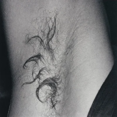 Wolfgang Tillmans - Buchholz Buchholz 1993 — Wolfgang Tillmans — Exhibitions — Galerie Buchholz — Image 20