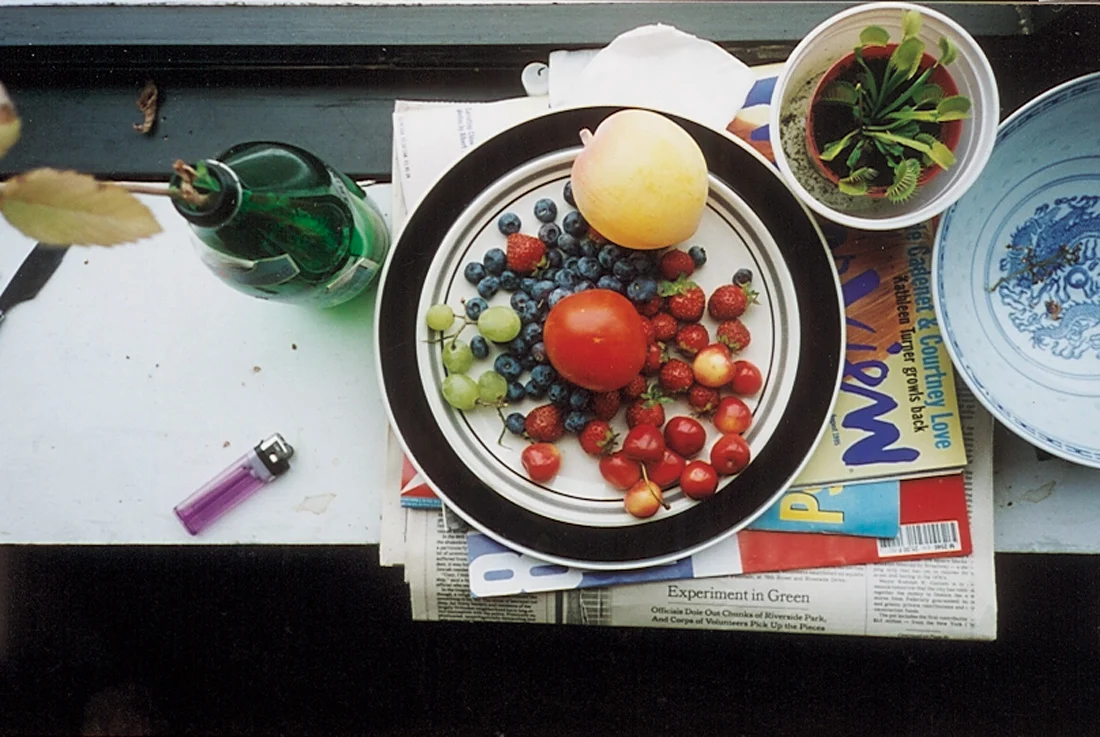 8220Faltenwrfe8221 — Wolfgang Tillmans — Exhibitions — Galerie Buchholz — Image 15