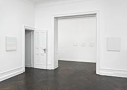 Chambered Shells and Birdwings — Cheyney Thompson — Exhibitions — Galerie Buchholz — Image 72