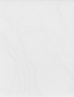 Chambered Shells and Birdwings — Cheyney Thompson — Exhibitions — Galerie Buchholz — Image 76
