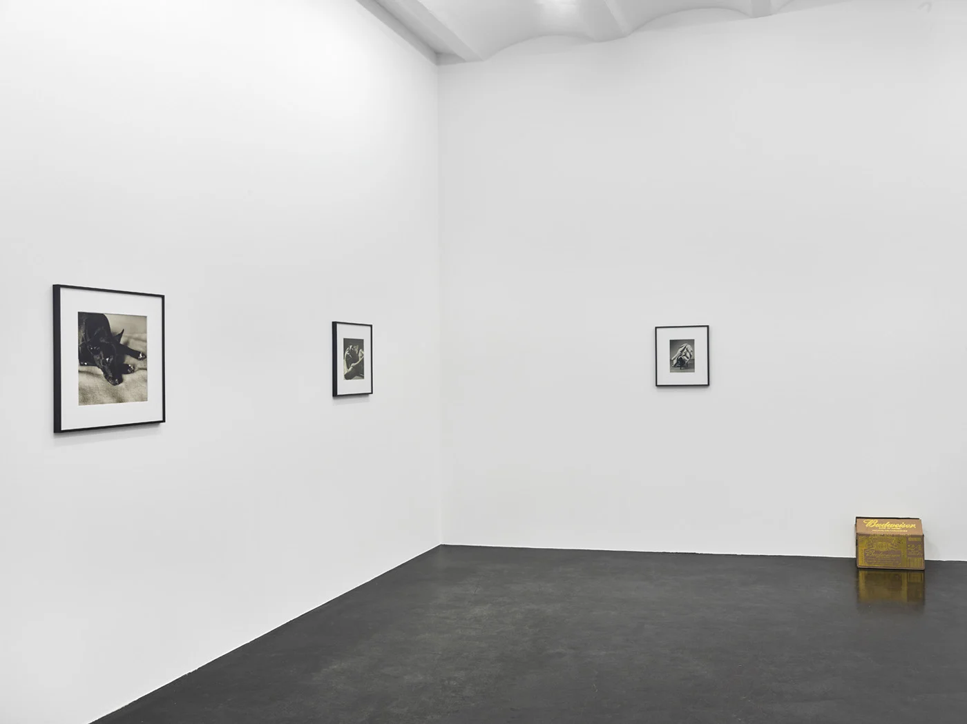 Danh Vo Peter Hujar, Köln 2015 — Danh Vo Peter Hujar — Exhibitions — Galerie Buchholz — Image 22