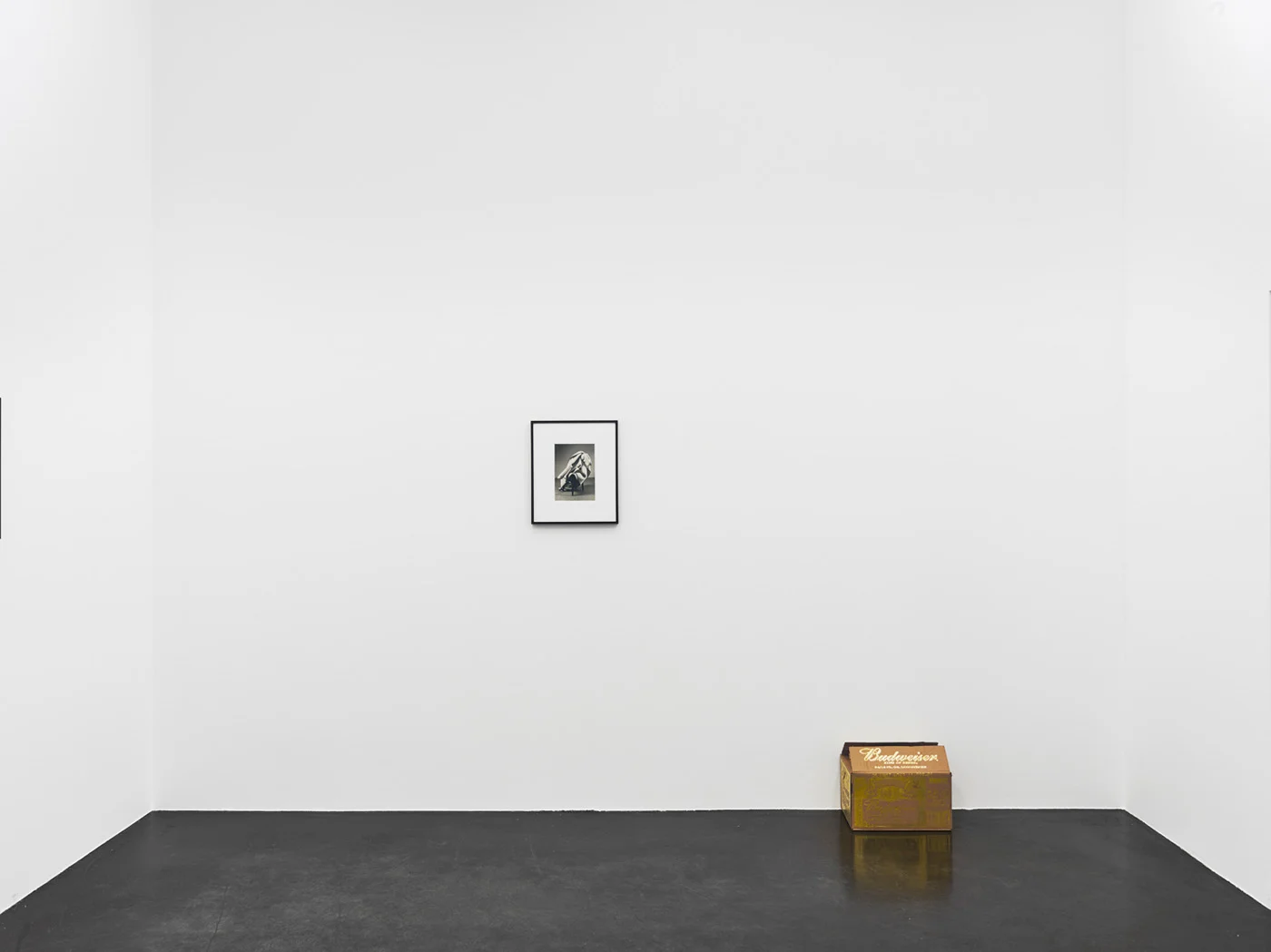 Danh Vo Peter Hujar, Köln 2015 — Danh Vo Peter Hujar — Exhibitions — Galerie Buchholz — Image 25