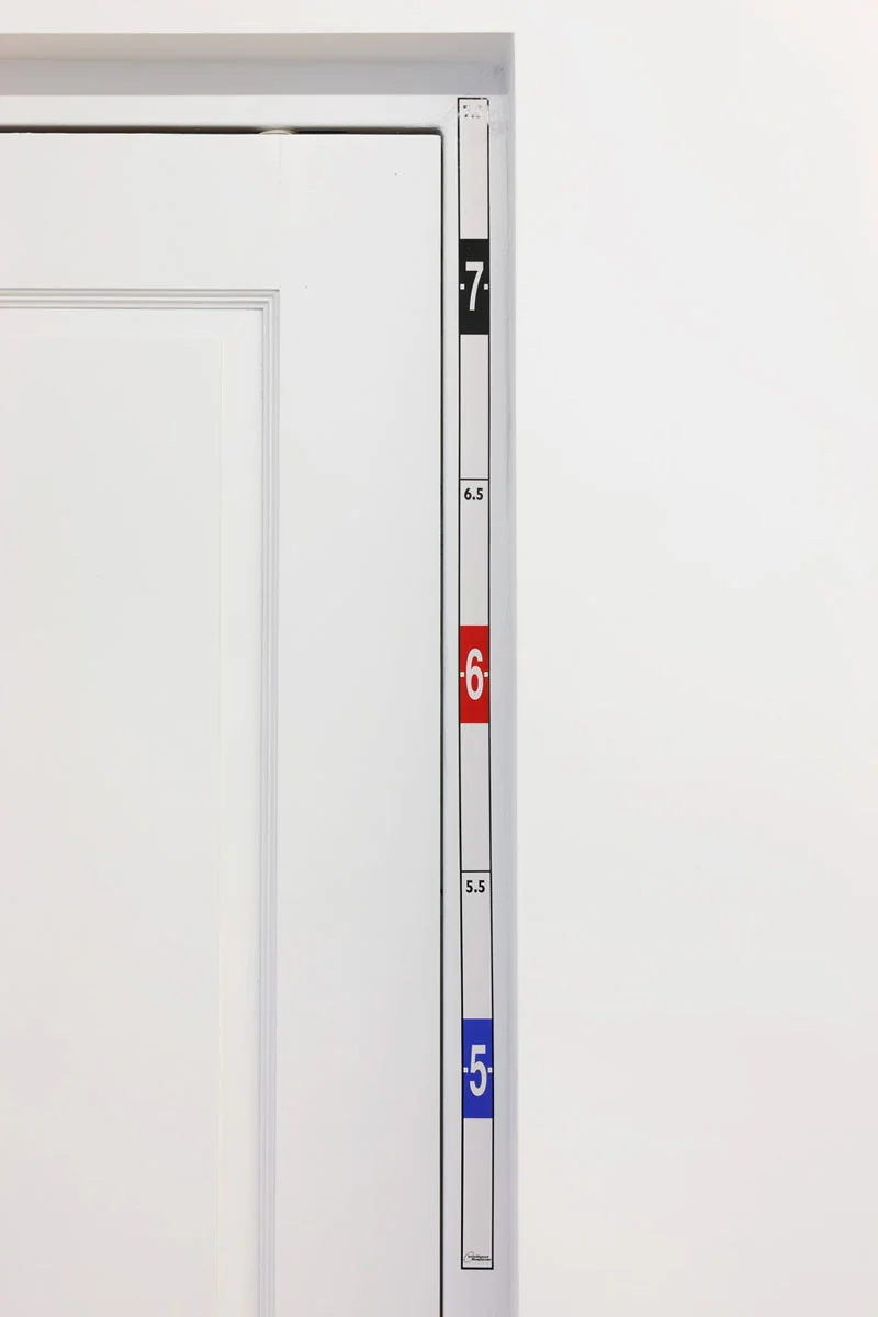 Raymond Roussel New York 2015 — Raymond Roussel — Exhibitions — Galerie Buchholz — Image 06