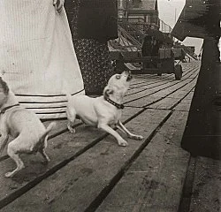 Raymond Roussel New York 2015 — Raymond Roussel — Exhibitions — Galerie Buchholz — Image 160