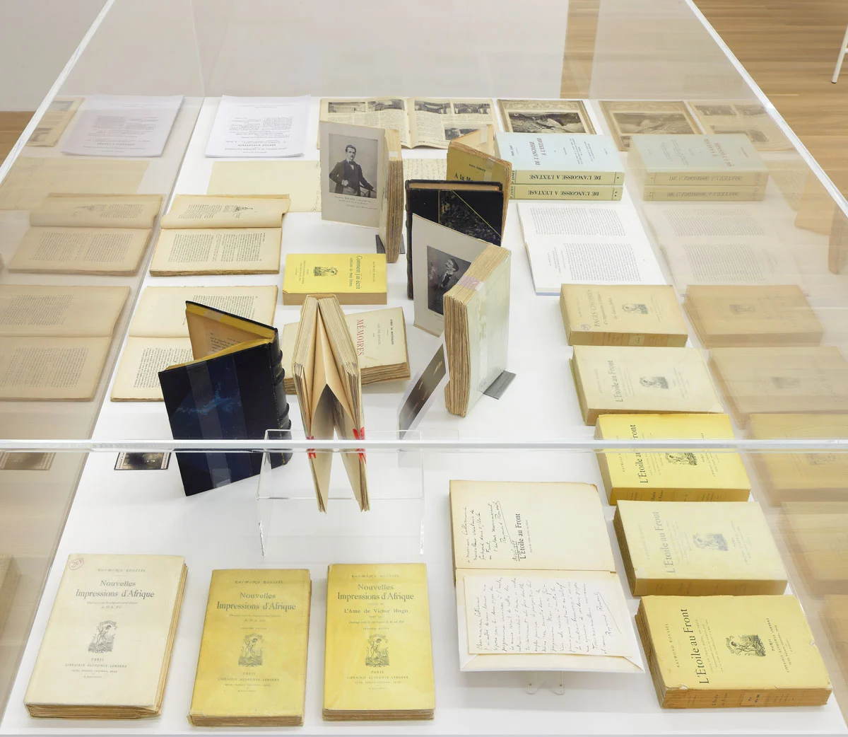 Raymond Roussel New York 2015 — Raymond Roussel — Exhibitions — Galerie Buchholz — Image 62