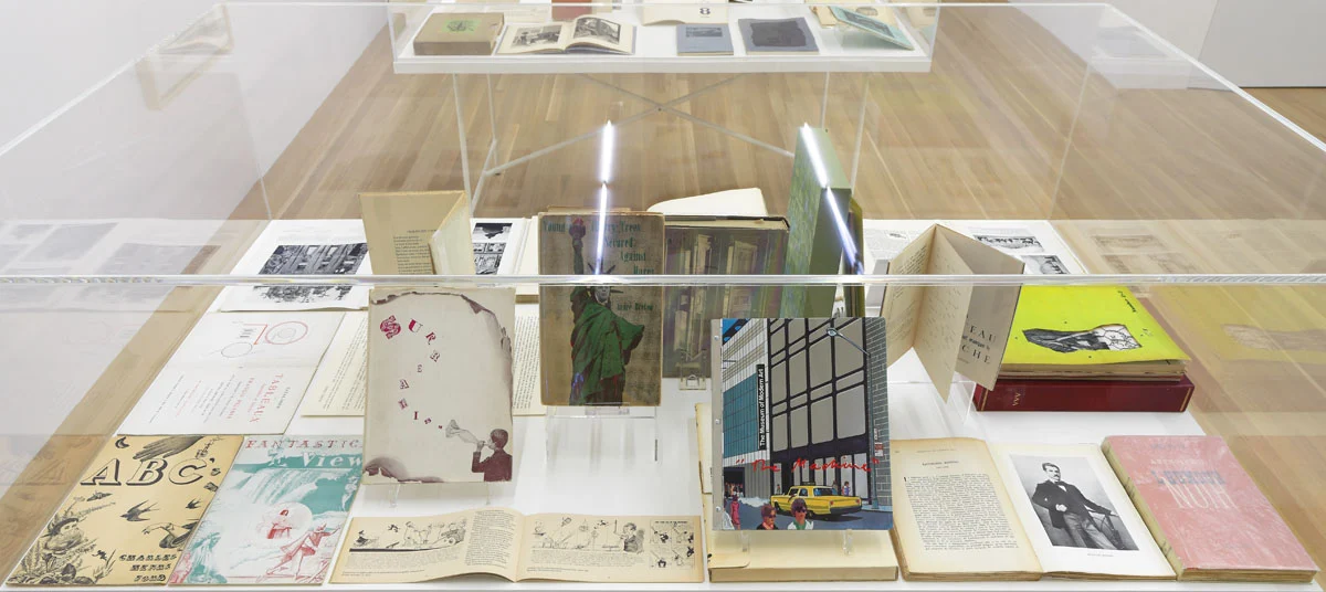Raymond Roussel New York 2015 — Raymond Roussel — Exhibitions — Galerie Buchholz — Image 76