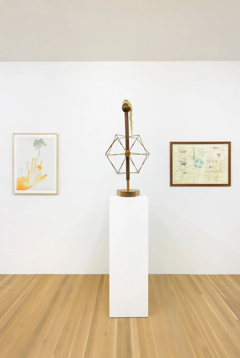 Raymond Roussel New York 2015 — Raymond Roussel — Exhibitions — Galerie Buchholz — Image 81