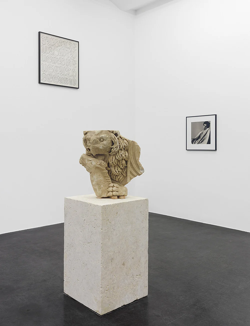 Danh Vo Peter Hujar, Köln 2015 — Danh Vo Peter Hujar — Exhibitions — Galerie Buchholz — Image 10