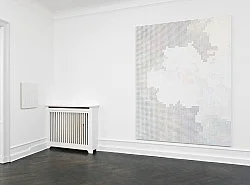 Chambered Shells and Birdwings — Cheyney Thompson — Exhibitions — Galerie Buchholz — Image 69