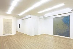 Sergej Jensen New York 2015 — Sergej Jensen — Exhibitions — Galerie Buchholz — Image 74