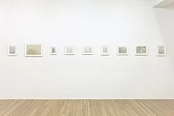 Sergej Jensen New York 2015 — Sergej Jensen — Exhibitions — Galerie Buchholz — Image 79