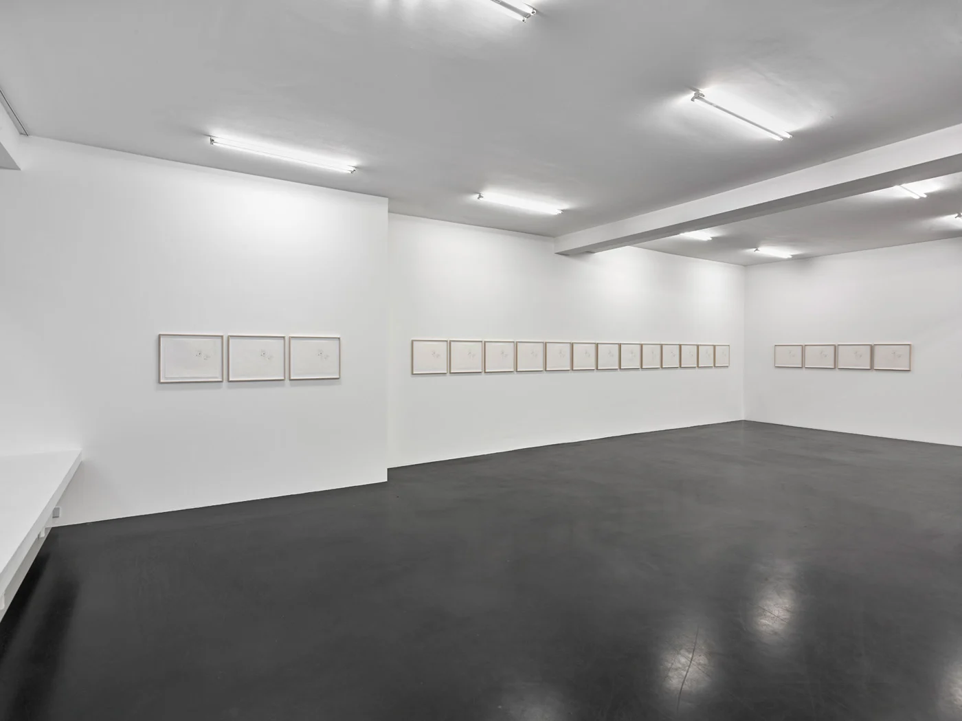 8220Estate8221 — Mathias Poledna — Exhibitions — Galerie Buchholz — Image 104