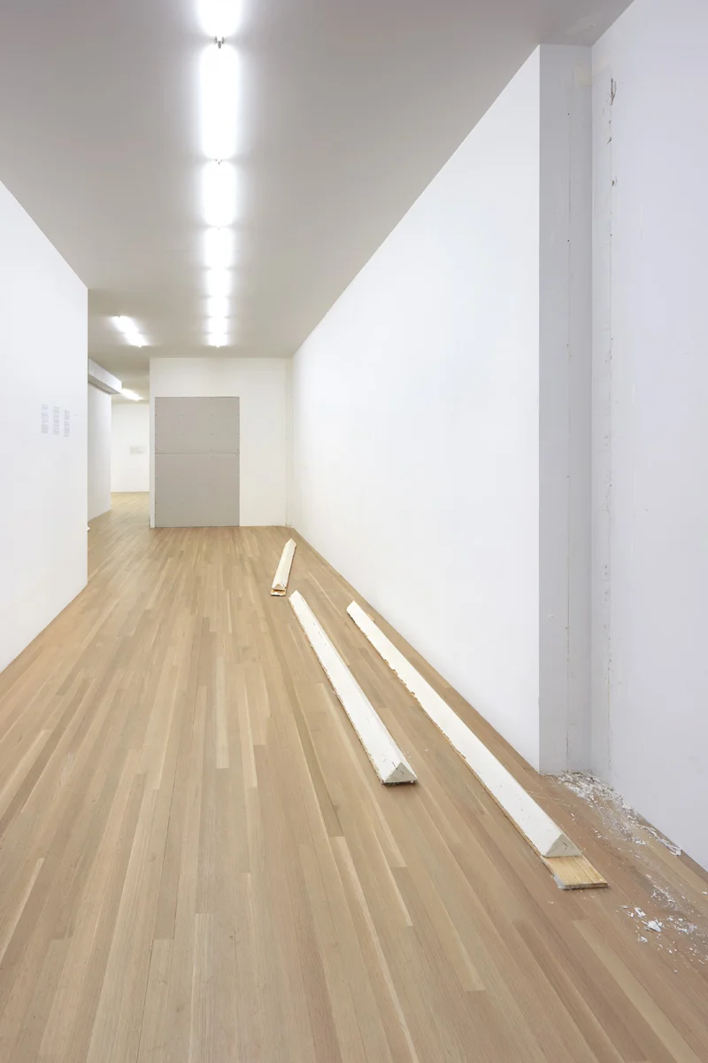 Henrik Olesen New York 2015 — Henrik Olesen — Exhibitions — Galerie Buchholz — Image 07