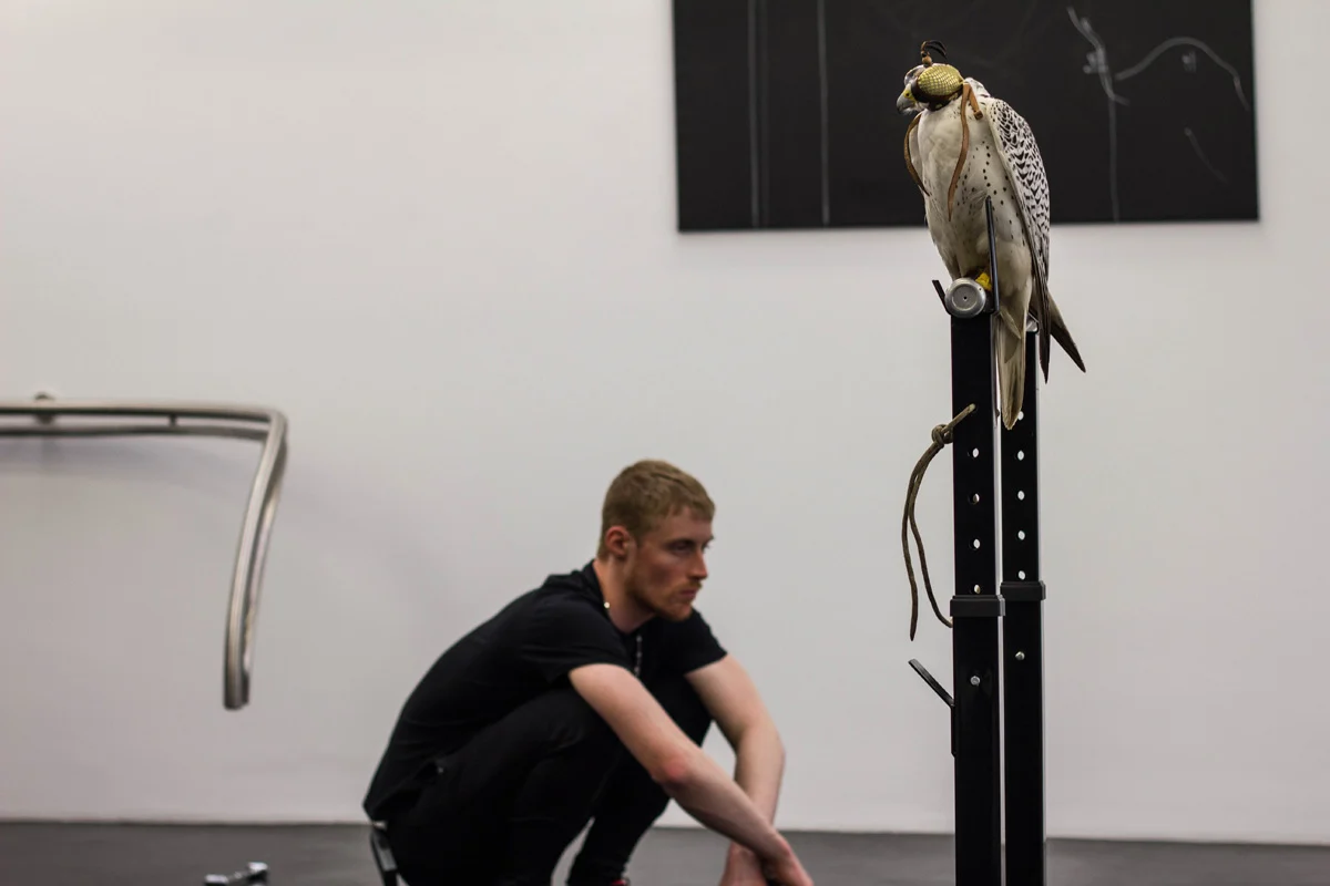 Anne Imhof Köln 2016 — Anne Imhof — Exhibitions — Galerie Buchholz — Image 45