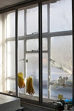 Studio — Wolfgang Tillmans — Exhibitions — Galerie Buchholz — Image 96