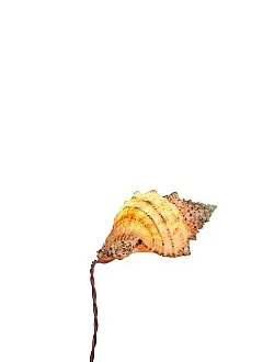 Inspired by Inspired by — Lucy McKenzie — Exhibitions — Galerie Buchholz — Image 57