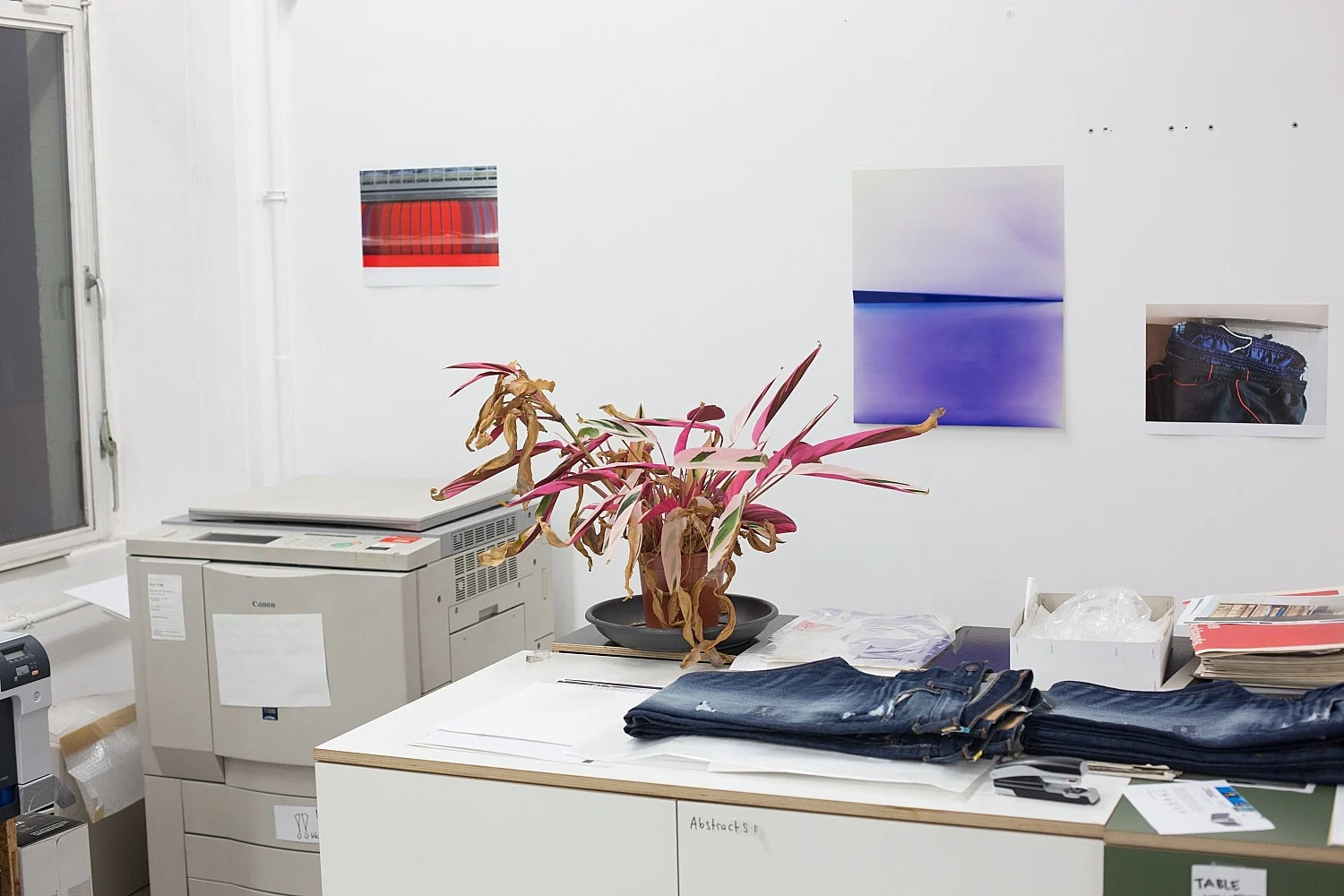 Studio — Wolfgang Tillmans — Exhibitions — Galerie Buchholz — Image 21