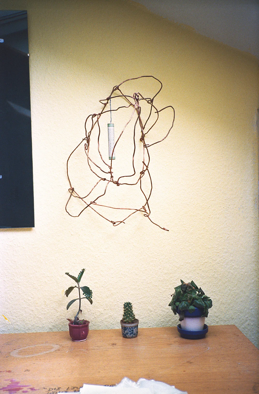 8220Studio8221 — Wolfgang Tillmans — Exhibitions — Galerie Buchholz — Image 25