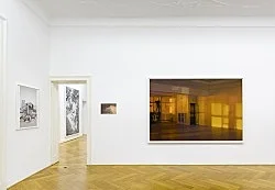 Studio — Wolfgang Tillmans — Exhibitions — Galerie Buchholz — Image 107