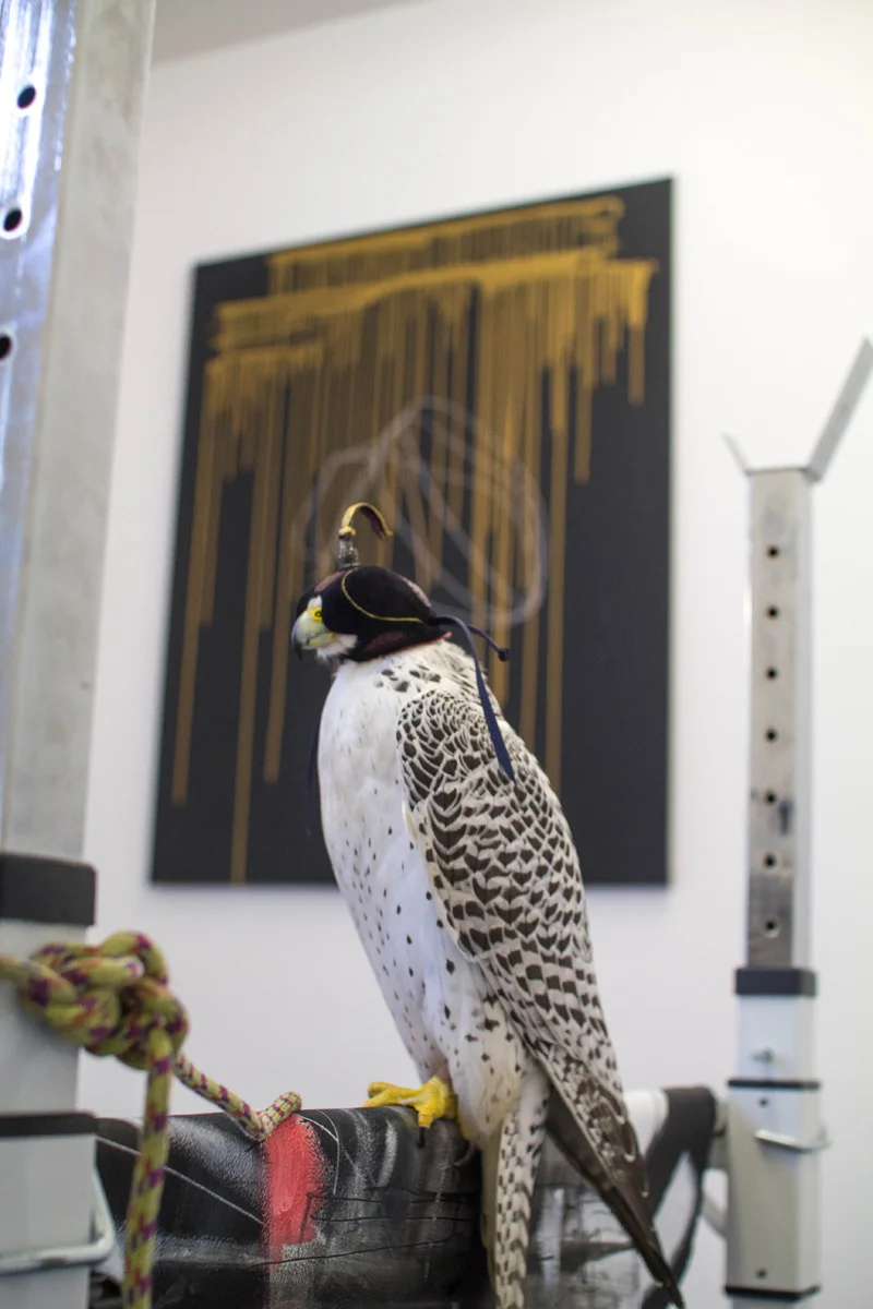 Anne Imhof Köln 2016 — Anne Imhof — Exhibitions — Galerie Buchholz — Image 62