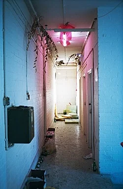 Studio — Wolfgang Tillmans — Exhibitions — Galerie Buchholz — Image 122