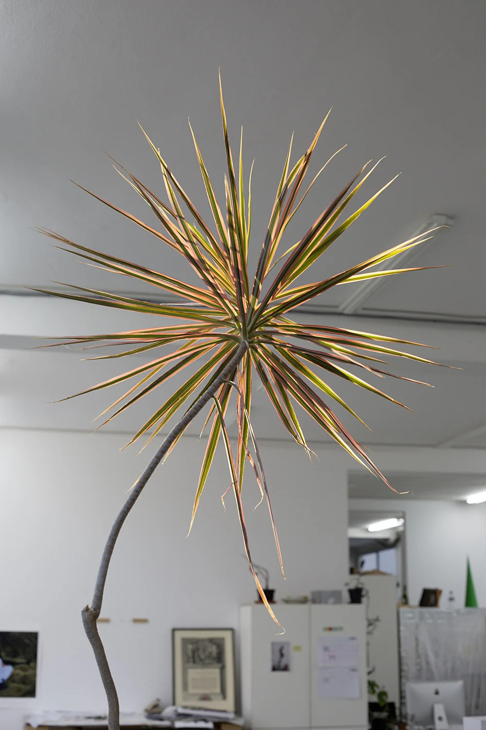 8220Studio8221 — Wolfgang Tillmans — Exhibitions — Galerie Buchholz — Image 42
