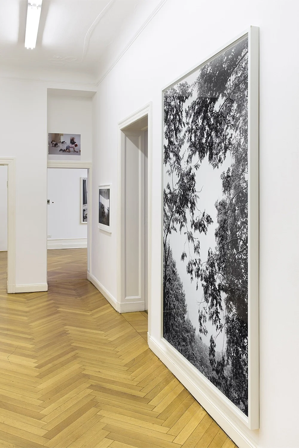 8220Studio8221 — Wolfgang Tillmans — Exhibitions — Galerie Buchholz — Image 06