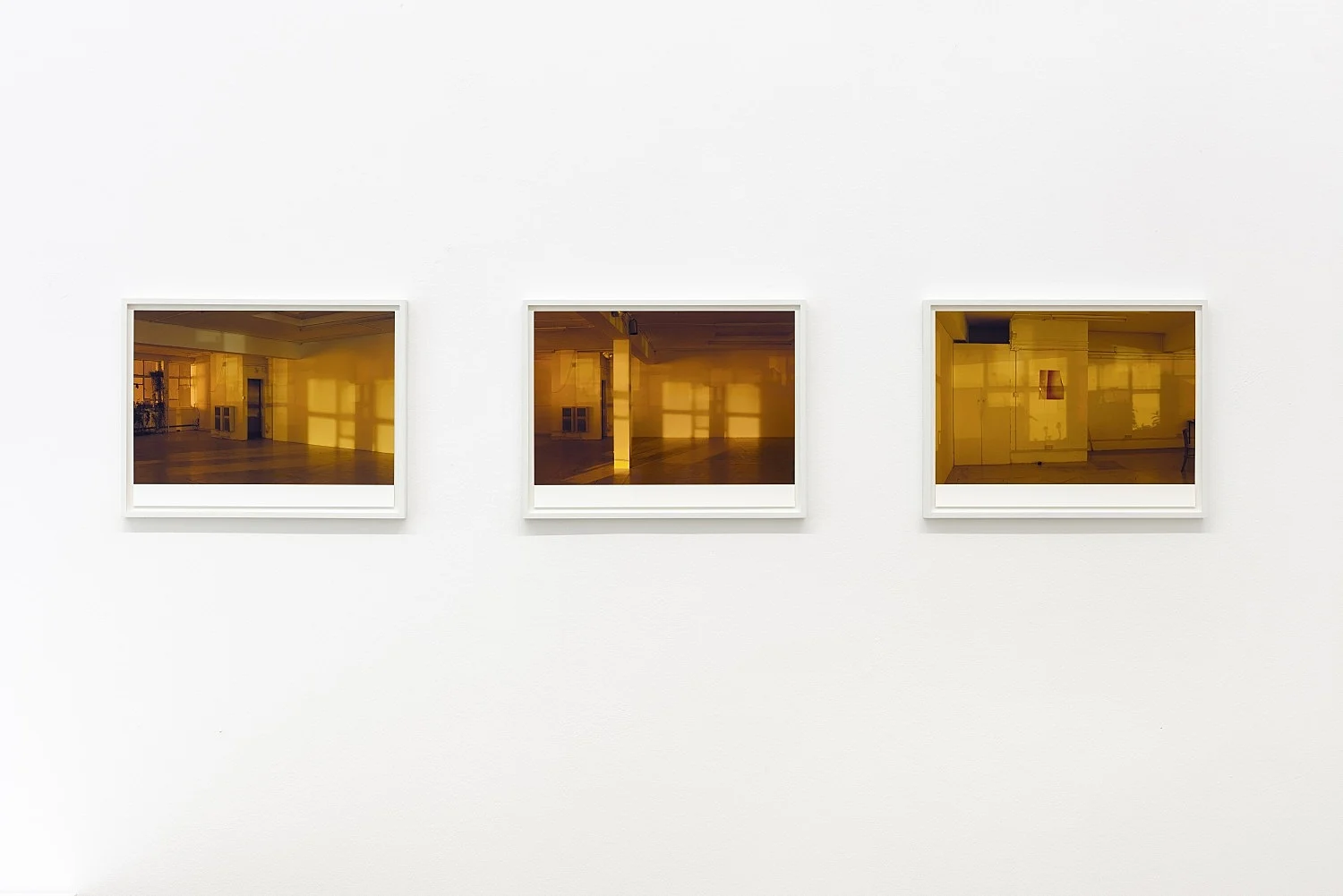 8220Studio8221 — Wolfgang Tillmans — Exhibitions — Galerie Buchholz — Image 43