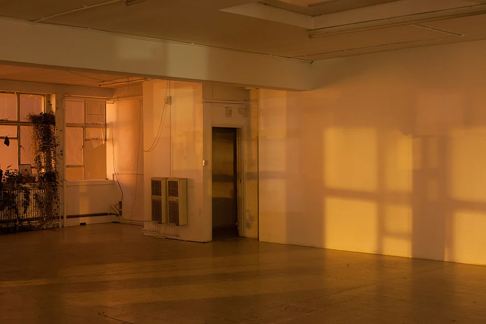 8220Studio8221 — Wolfgang Tillmans — Exhibitions — Galerie Buchholz — Image 00